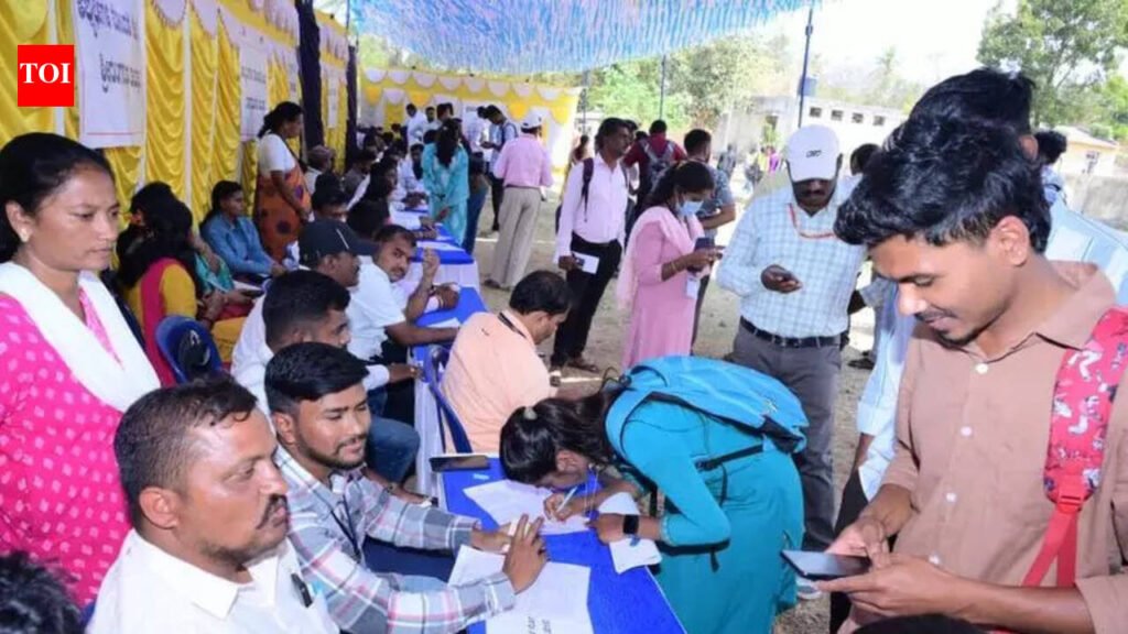 District job mela draws 9,000+ aspirants; 212 bag jobs | Mysuru News