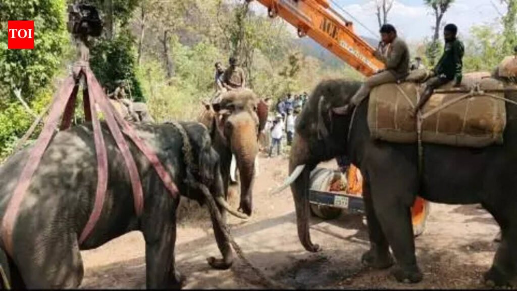 In a week, second death due to jumbo attack in Balehonnur | Mysuru News