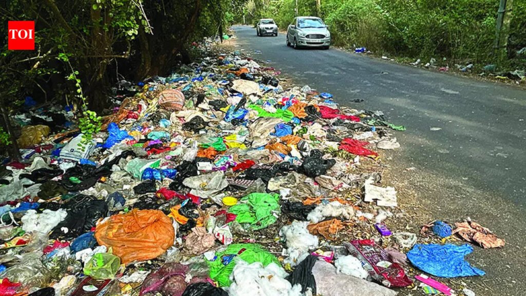 Shristhal panchayat to recover part garbage fees from residents | Goa News