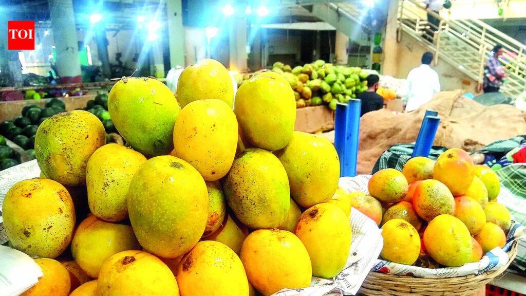 Mancurad mangoes arrive, priced at Rs 5,000/dozen | Goa News