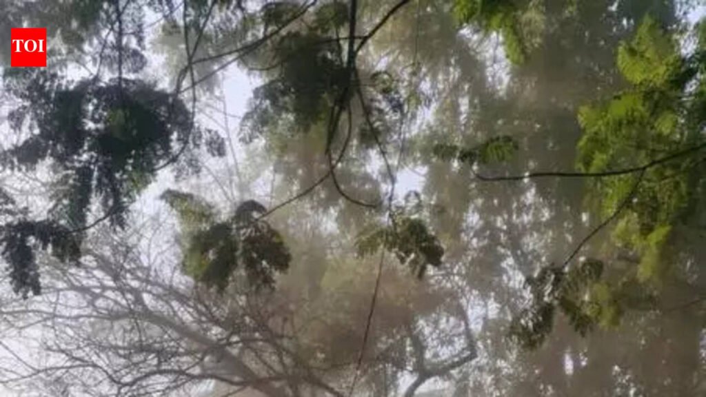 ‘Breathless’ citizens demand control over construction dust | Pune News