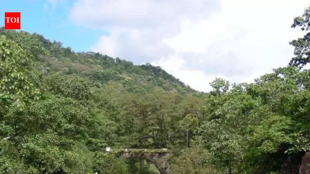 Getting Wilder At 52, Melghat Tiger Reserve Celebrates Legacy Of Forests, Wildlife & People | Nagpur News