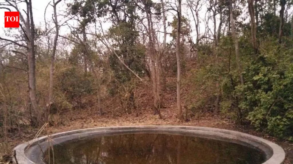 Recharging of water holes sought in wild sanctuaries across Marathwada region | Pune News
