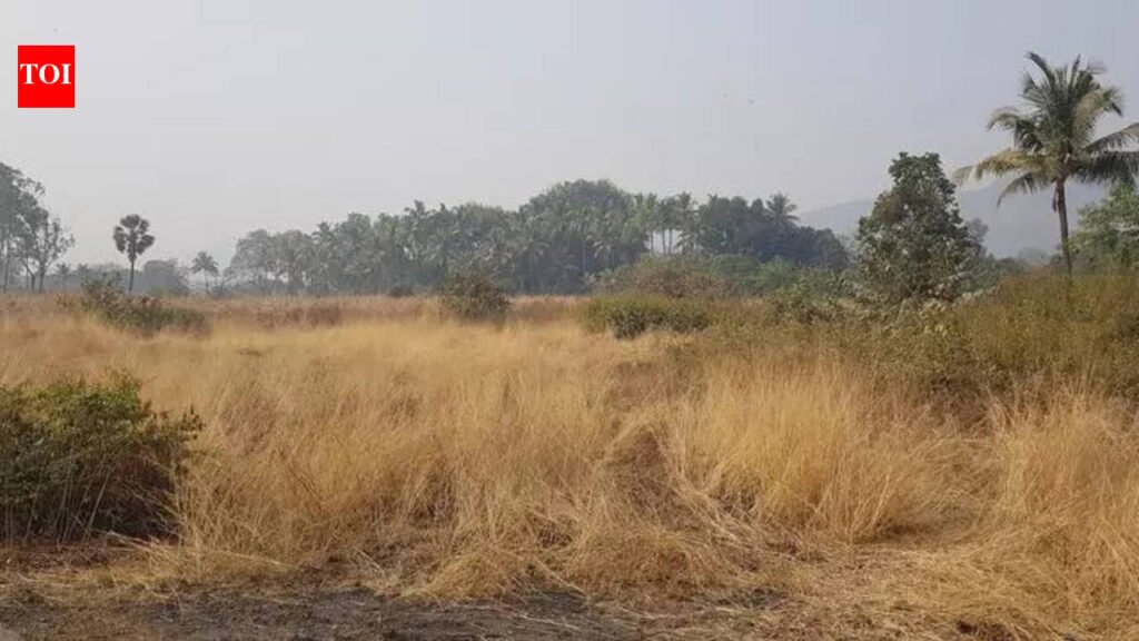 Solapur It Park: MIDC to get land in develop IT Park in Solapur: Guardian minister Gore | Pune News