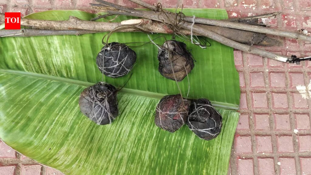 Wildlife Crime Prevention: Angul forest circle launches drive to stop bait bomb poaching | Bhubaneswar News