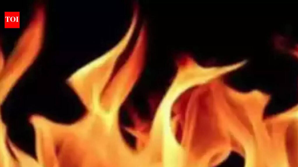Woman, 4-year-old daughter burned alive in Supaul fire | Patna News
