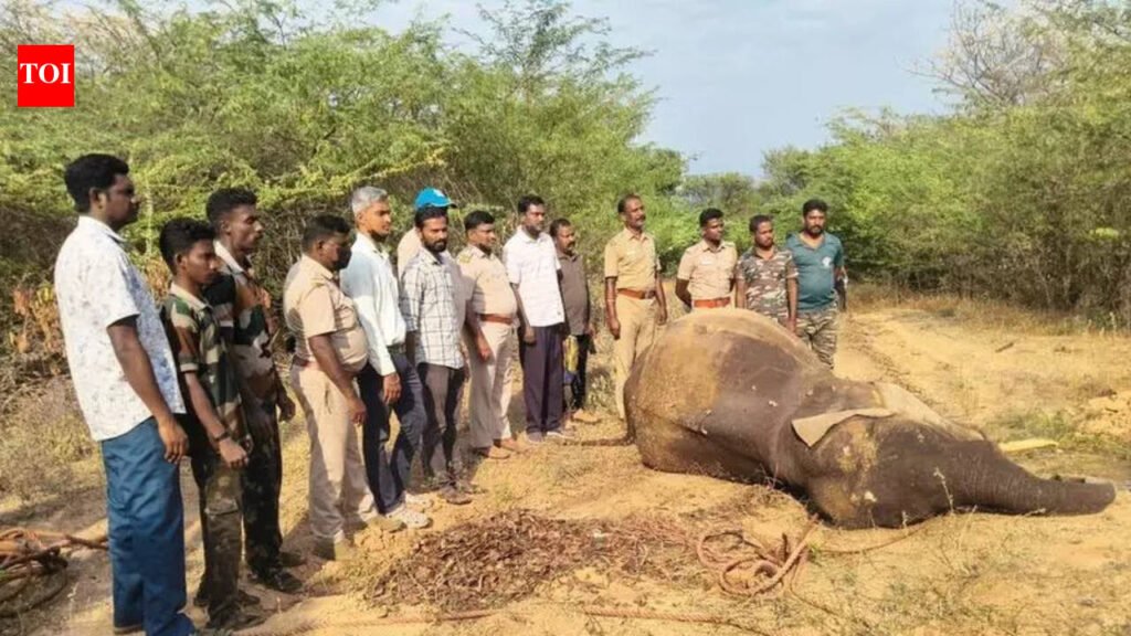 Wild tusker falls into canal in ATR, dies | Coimbatore News