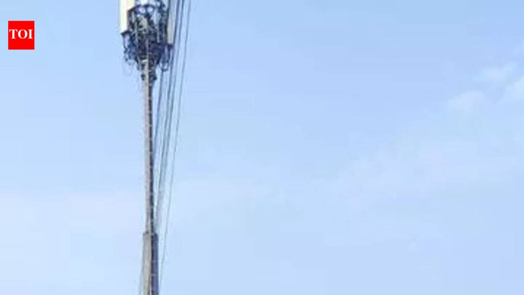 2 deaths in 14 days, Radhe Mangalam hall junction still unsafe, temporary signal fails | Nagpur News