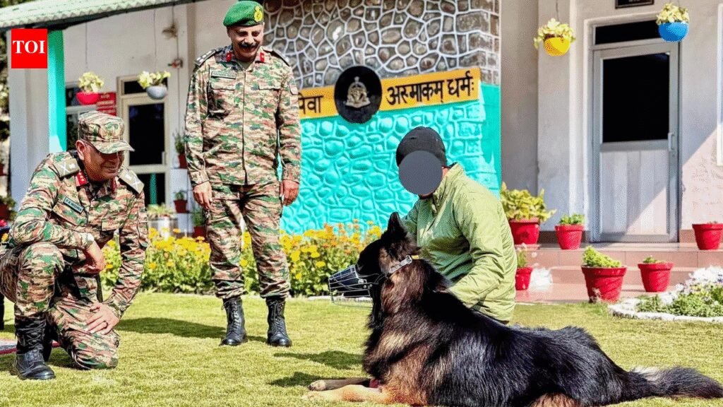 ‘Wounded yet in high spirits’: Army shares update on braveheart dog Tyson who ‘took the first bullet’ | India News
