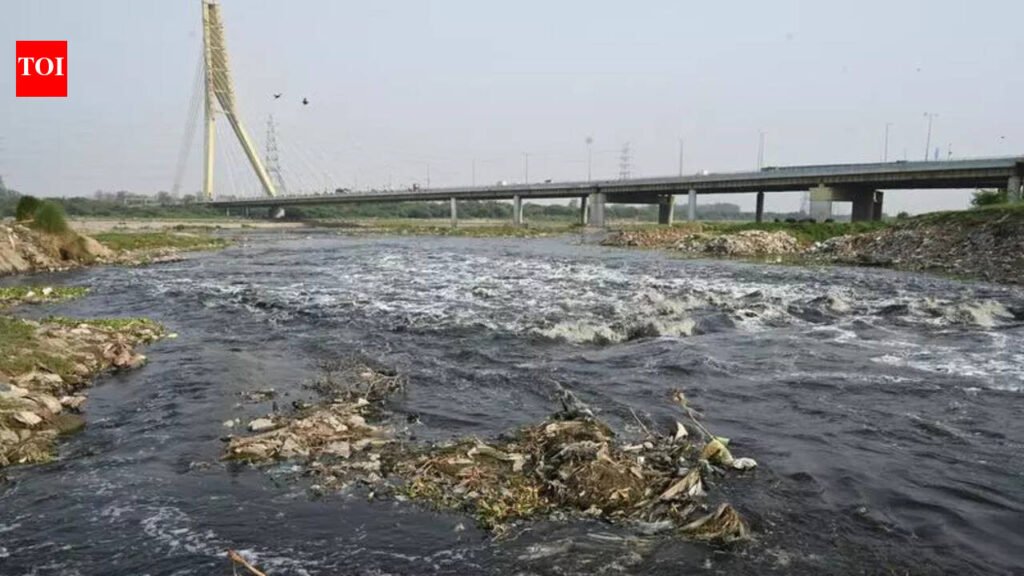 Najafgarh Drain Road Corridor: 61km road corridor along Najafgarh drain by Nov 2027 to ease congestion | Delhi News