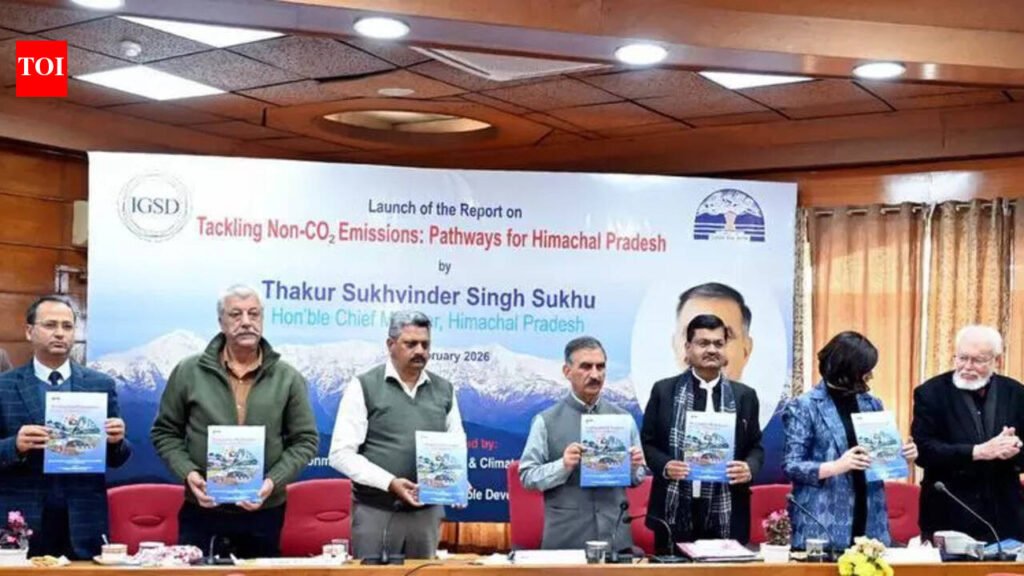 HP to stop work on Kishau, Renuka Dam projects pending dues: CM | Chandigarh News