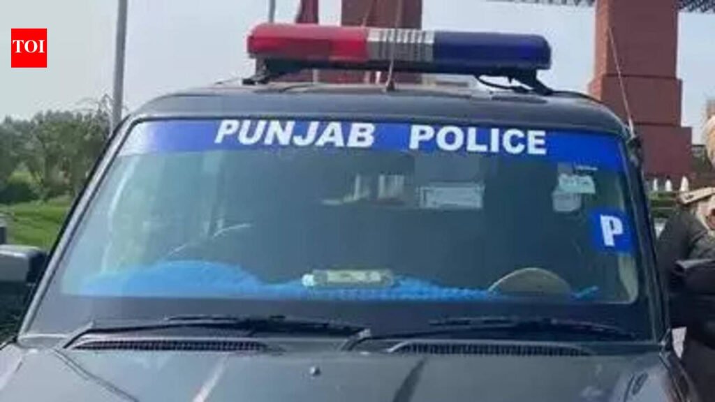 Grenades seized in migrant firing case, UAPA invoked | Chandigarh News