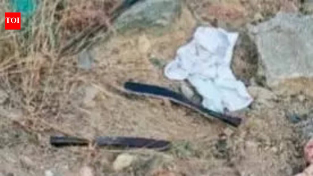 Weapons found abandoned on roadside in Hosur, probe on | Coimbatore News