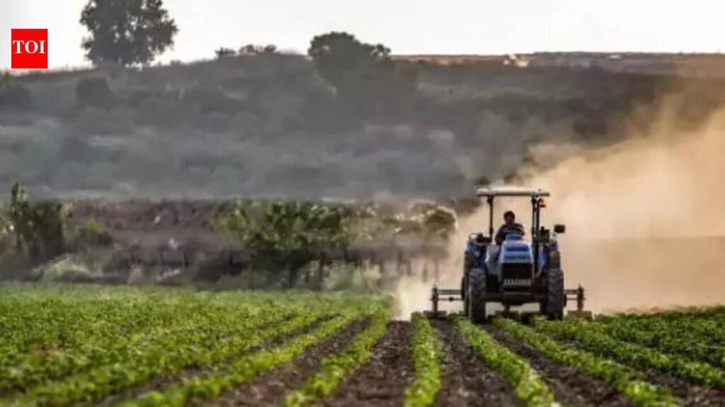 Rising temp raises concern for Rabi crops in Kanpur division | Kanpur News