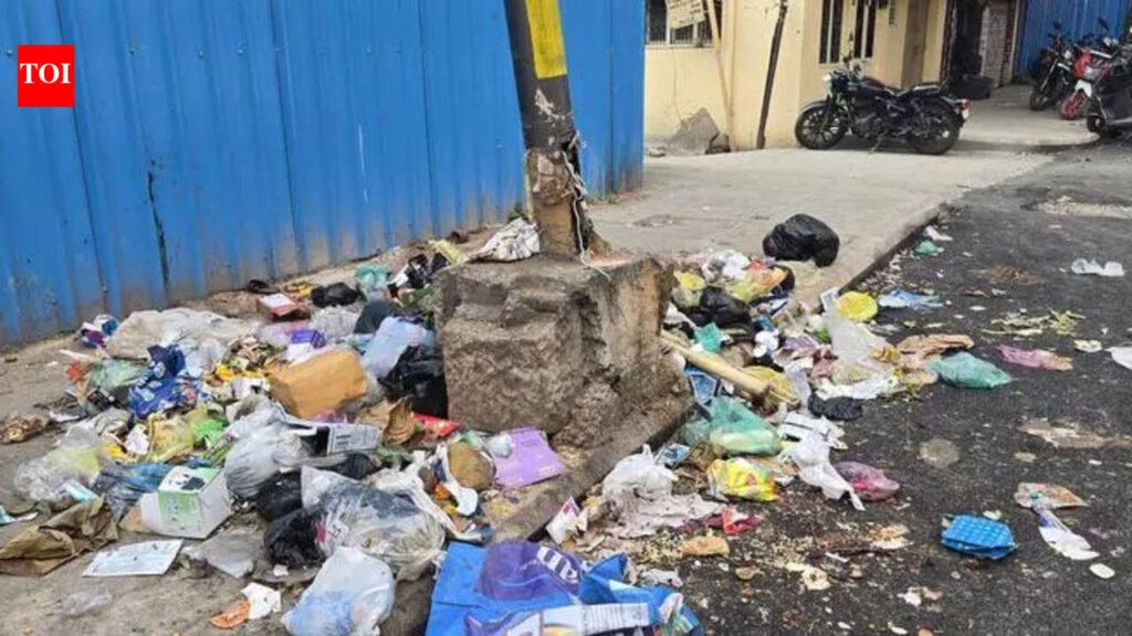 Bengaluru’s garbage trail leads to Rs 3.6 crore in fines, over 82,000 litter violations | Bengaluru News