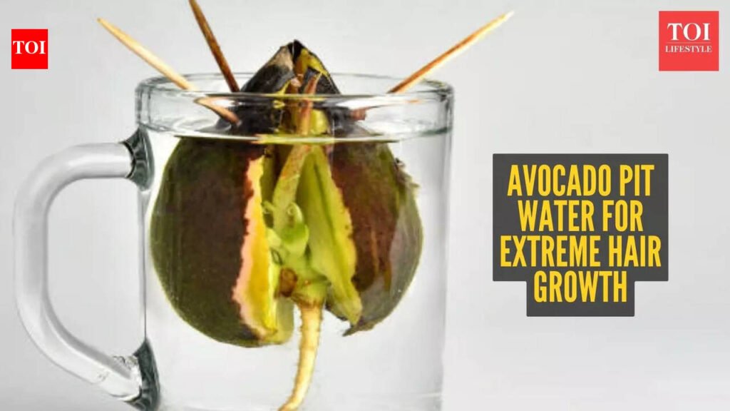 Avocado pit water for hair growth: How to make and apply this hair potion |