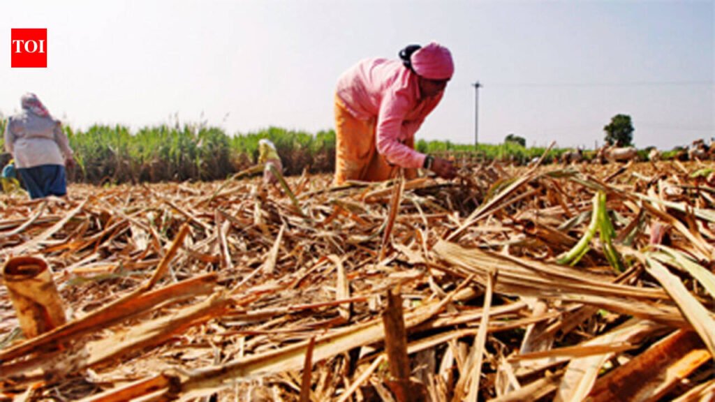 Revival process of Sakri Sugar Mill gains momentum after experts’ visit | Patna News