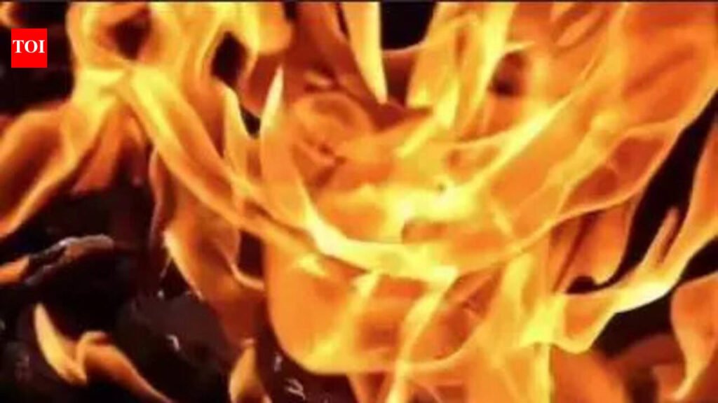 Cylinder explodes at shop, 7 hurt | Chennai News