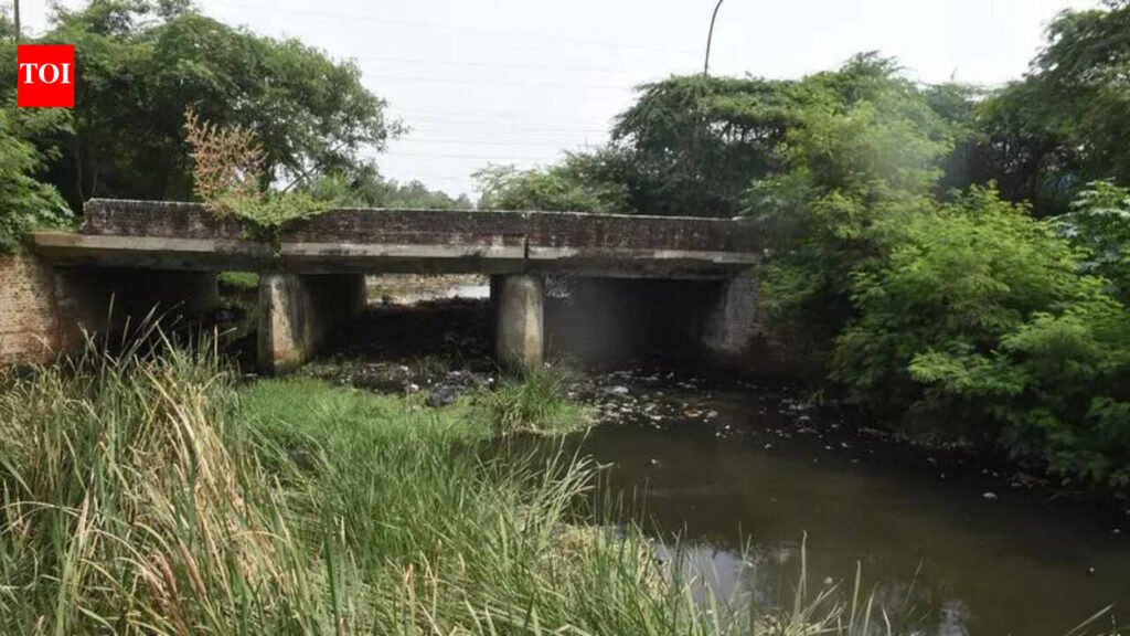 After NGT rap, GNIDA plans STP on drain emptying into Hindon | Noida News