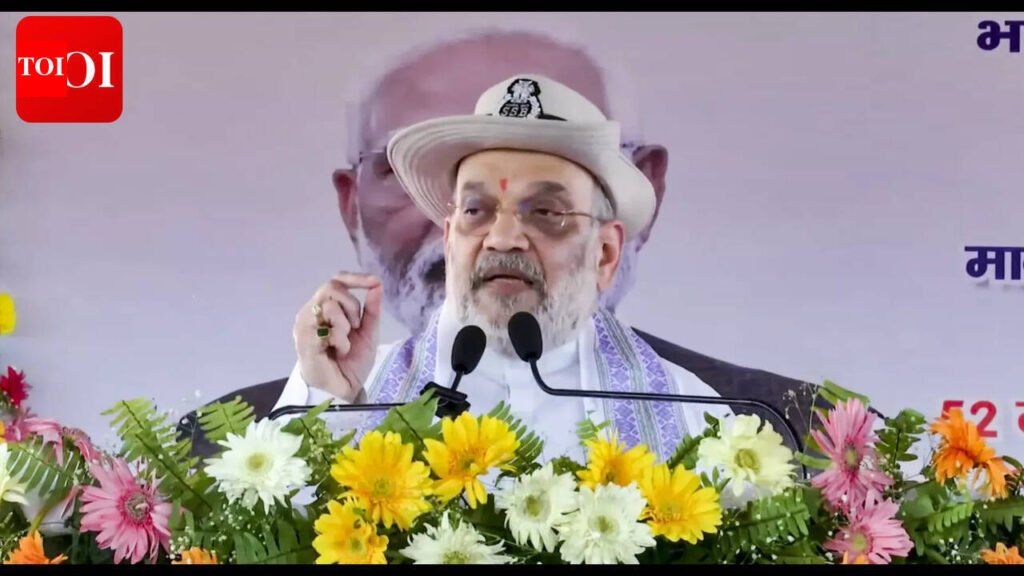 Centre to identify and remove all infiltrators from country: Shah | Patna News