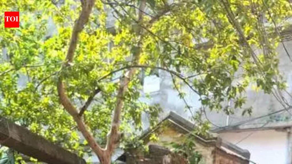 Love Triangle Sparks Night Rampage Over Ex-Flame’s New Relationship | Nagpur News