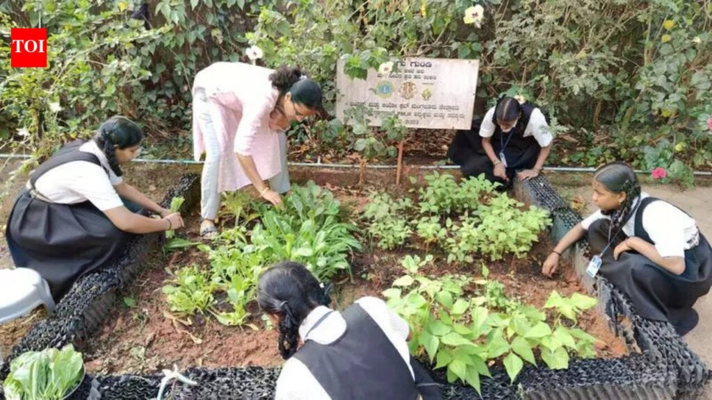Increase in Eco Club funding to govt schools boosts environment education | Mangaluru News