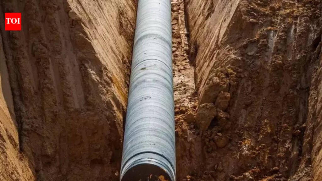 Woman’s charred body found in pipe, murder case filed by Navi Mumbai police | Mumbai News