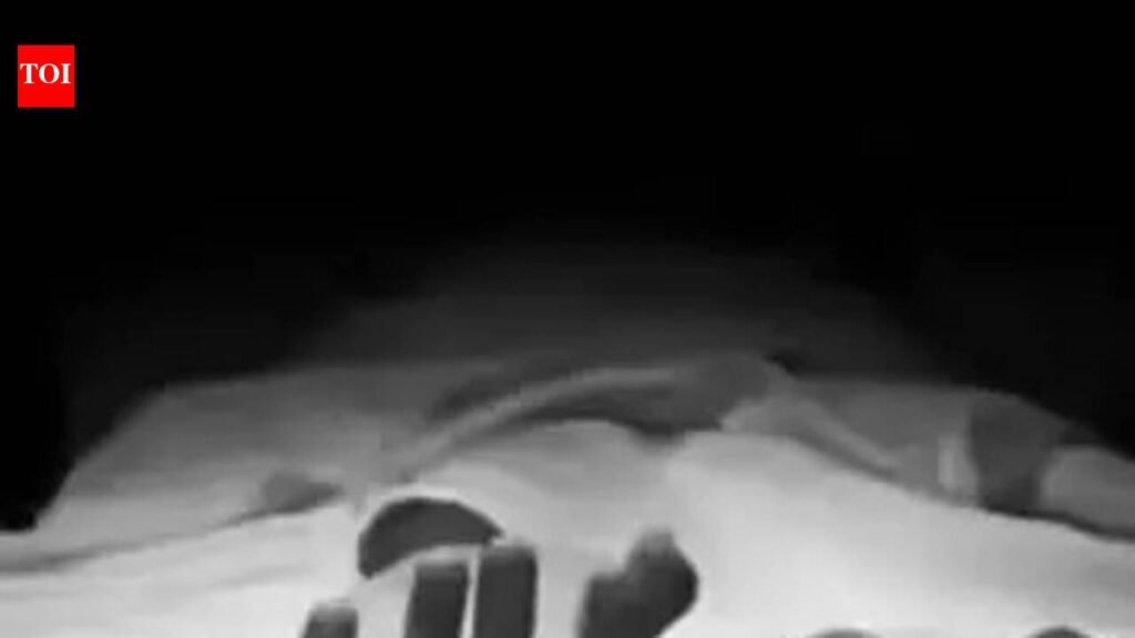 Cops seek ID parade for Taramani triple murder which happened in Chennai on Jan 25 | Chennai News