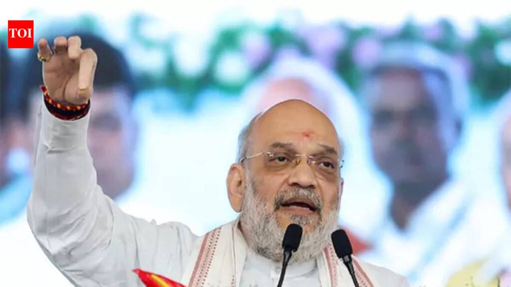 Union home min to review border security today | Patna News