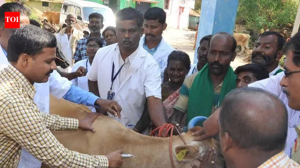 Shot in the App: NDLM portal flags “paper” livestock vaccinations | Jaipur News