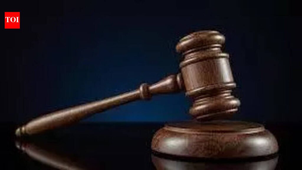 Espionage case: HC reserves verdict on bail plea of influencer Jyoti Malhotra | Chandigarh News