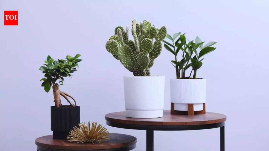 5 plants you should NEVER place near the main door as per Vastu and why