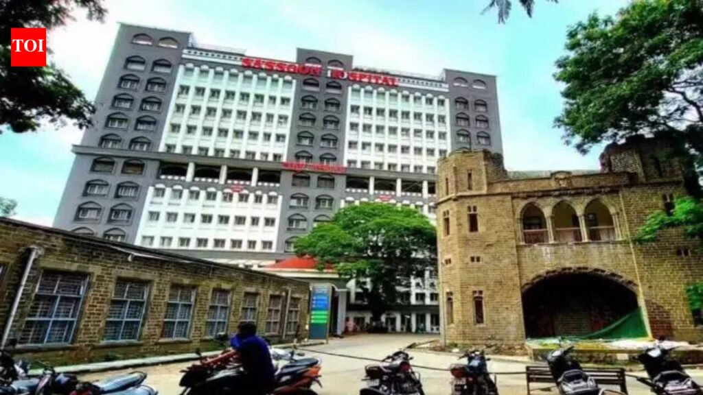 Govt has 10-yr healthcare roadmap for every district, says minister | Pune News