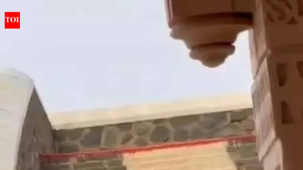 Asiatic lions’ temple run, two climb stairway in Palitana | Rajkot News