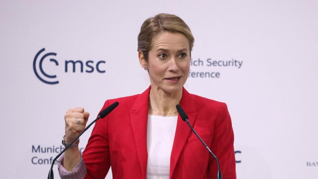 Europeans push back at U.S. over claim they face ‘civilisational erasure’