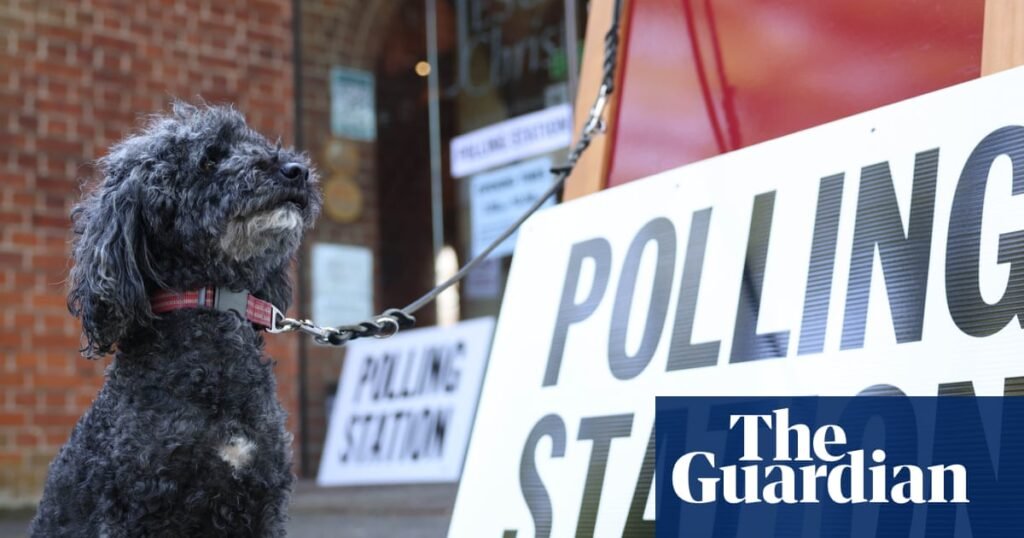 English councils face ‘unnecessary race against time’ to organise elections, leaders say | Local government