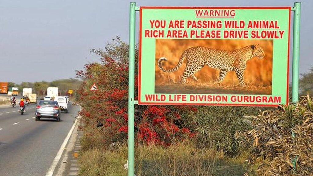 Human super-predators not always ‘super-scary’ to wildlife, finds study