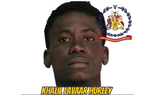Wanted man in police custody