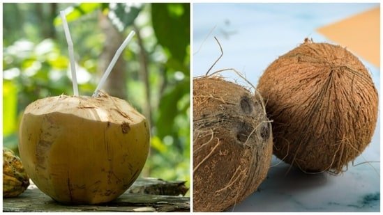 Apollo Bengaluru dietician explains which is actually better for you: Green or brown coconut water