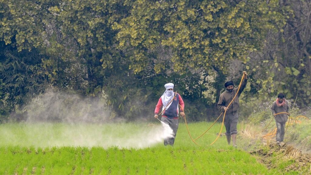 India among four nations driving most global pesticide toxicity: study