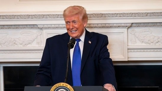 Donald Trump has these Plan B options after US Supreme Court’s tariff strikedown