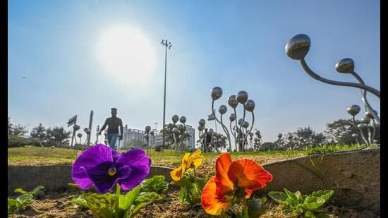 February likely to end on a warmer note: IMD