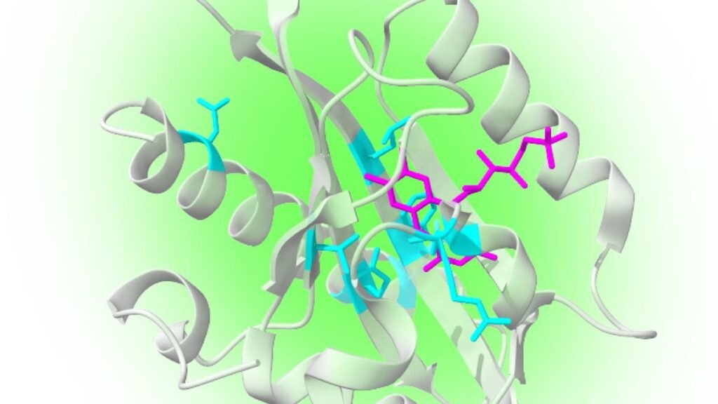 How proteins are being tweaked to be quantum sensors inside the body