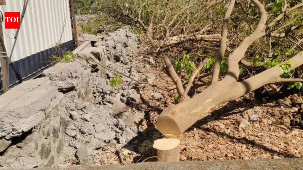Miscreants chop four trees in Navi Mumbai, turn civic plot into illegal dump yard | Mumbai News