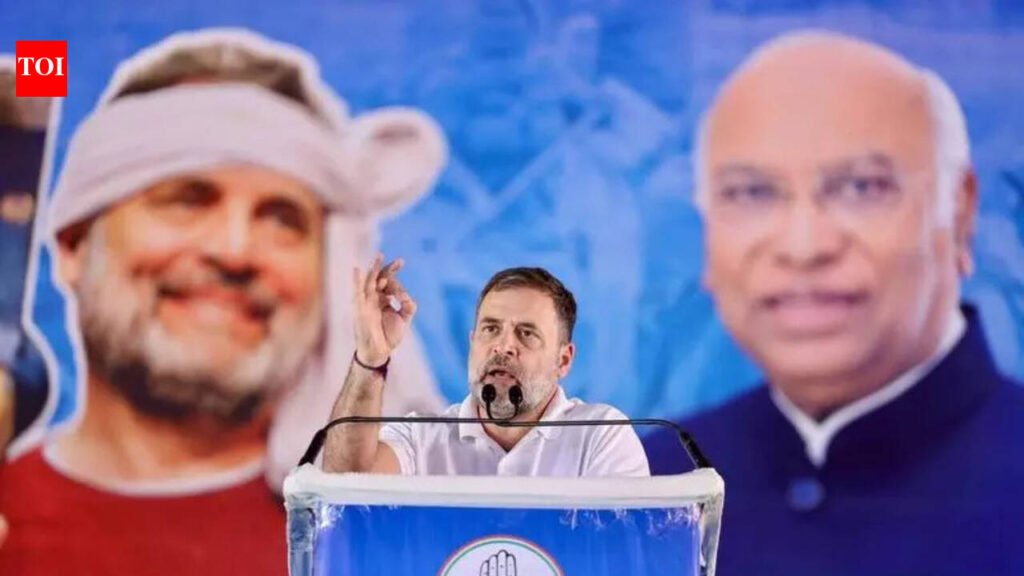 US deal will destroy Indian farmers, RaGa at Punjab farm rally | Chandigarh News