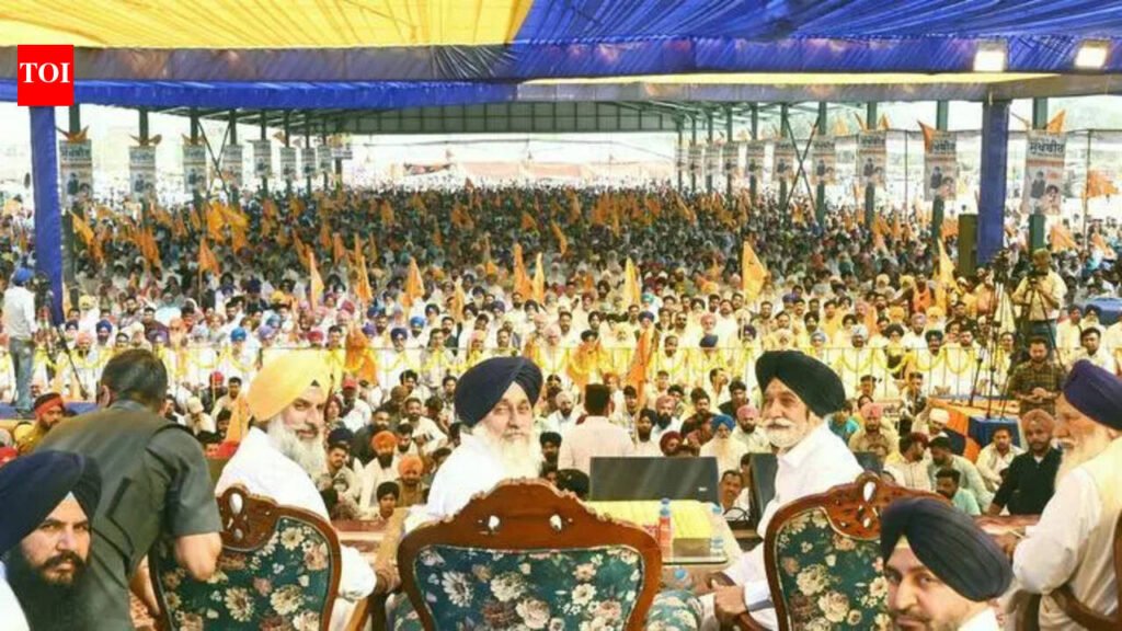 Cleaning up Sutlej, Beas rivers will be our top priority: Sukhbir | Chandigarh News