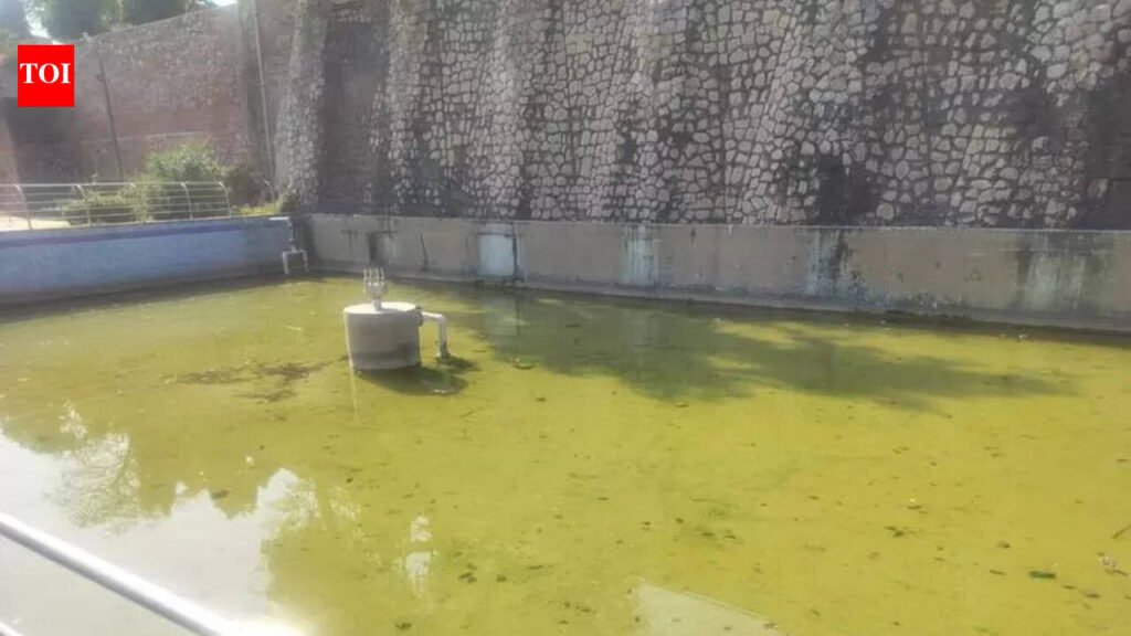 Fountains dry & structures damaged: Talkatora Garden crying for attention | Delhi News