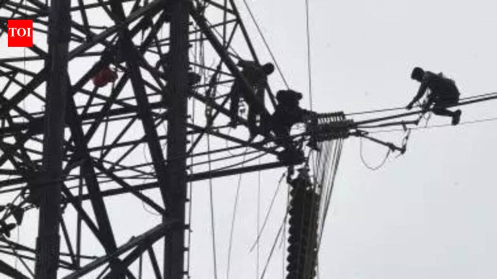 TN clears 1,500MWh battery storage projects to boost round-the-clock green power supply | Chennai News