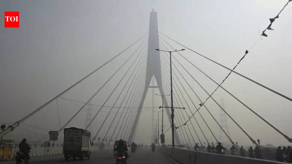 Signature move: PWD to draw up five-year maintenance plan for city’s landmark bridge | Delhi News