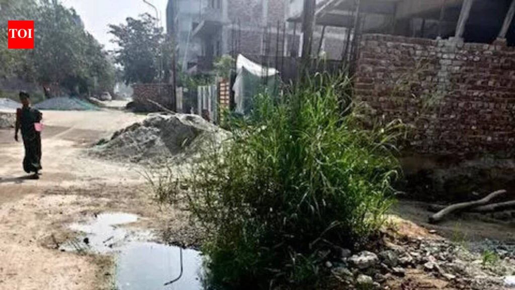 Broken footpaths, overflowing drains: What ails this sector in Noida | Noida News
